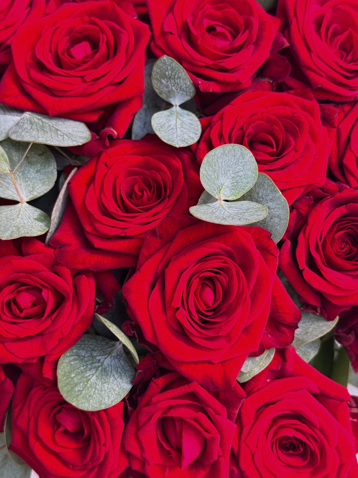 Classic Red Roses & Eucalyptus