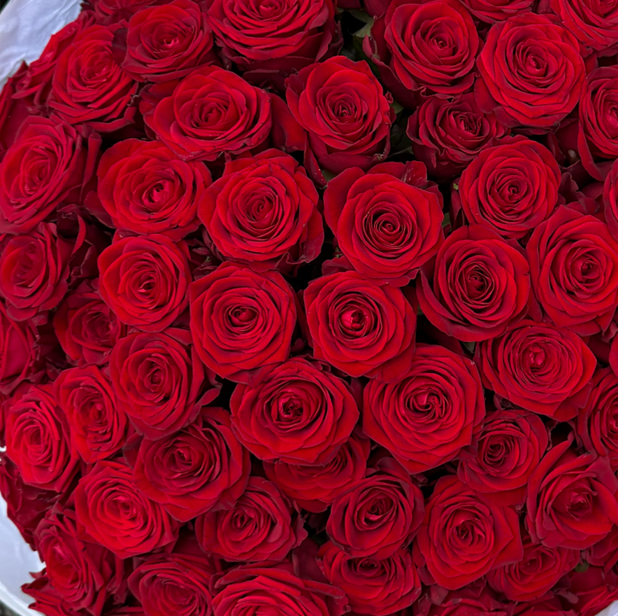 100 Premium Red Roses