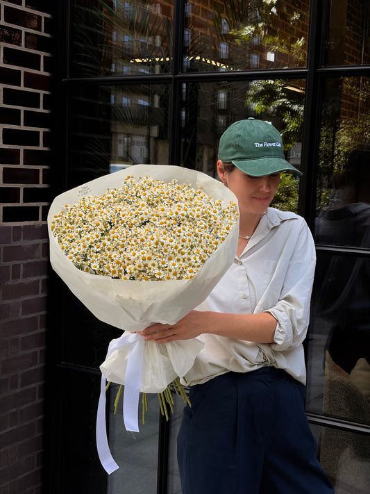 Camomile Bouquet