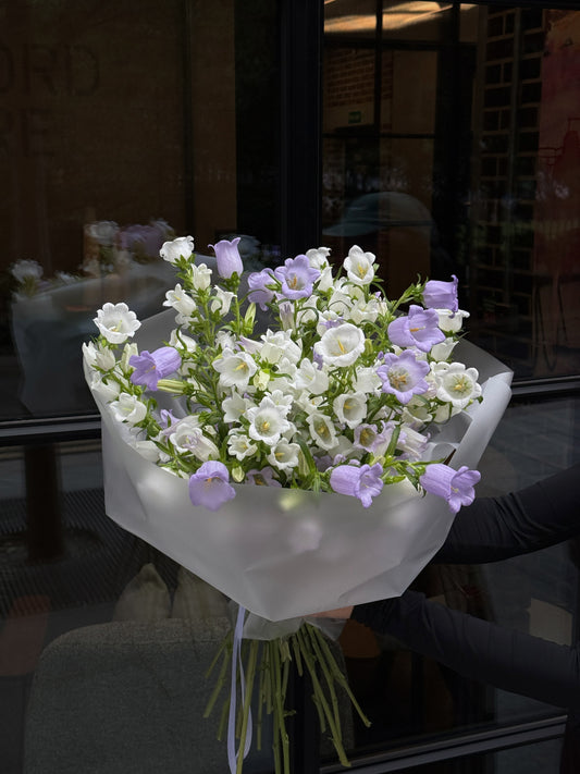 Wild Campanula Bouquet