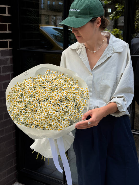 Camomile Bouquet