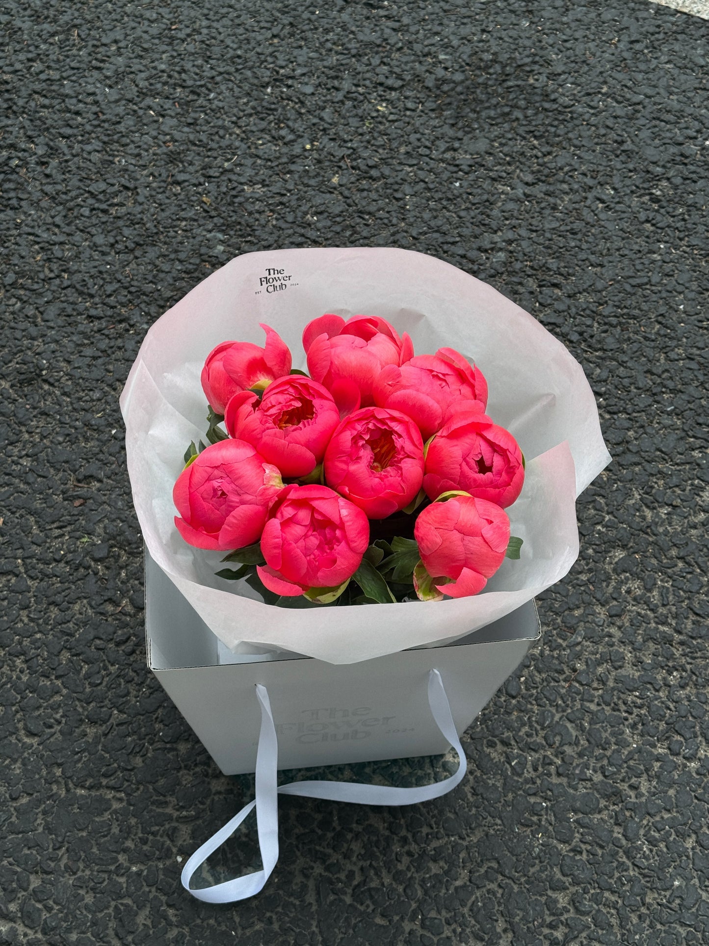 Peony Love