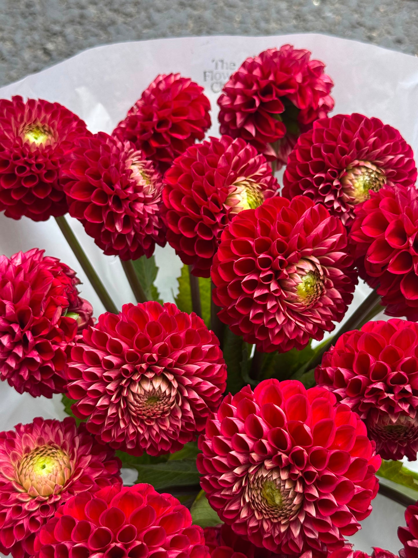 Luxury Red Dahlia Bouquet