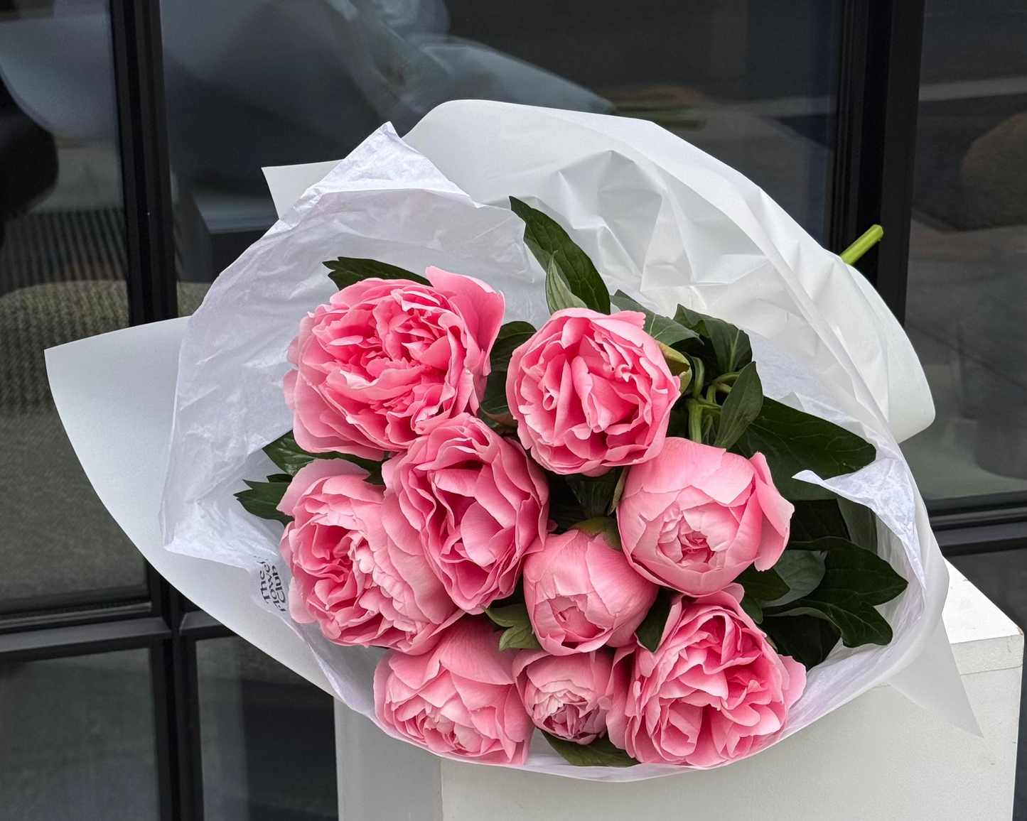 Peony Season Blooms