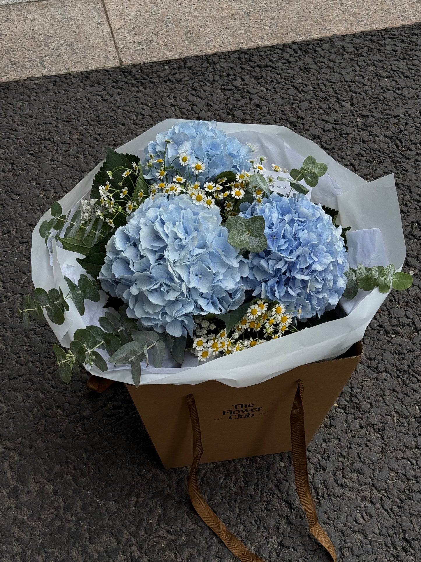 Blue Hydrangea