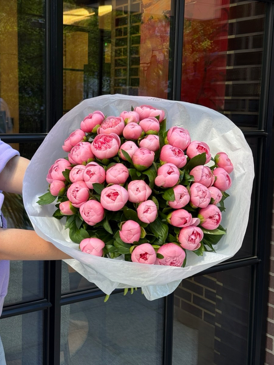 Luxury Pink Peonies