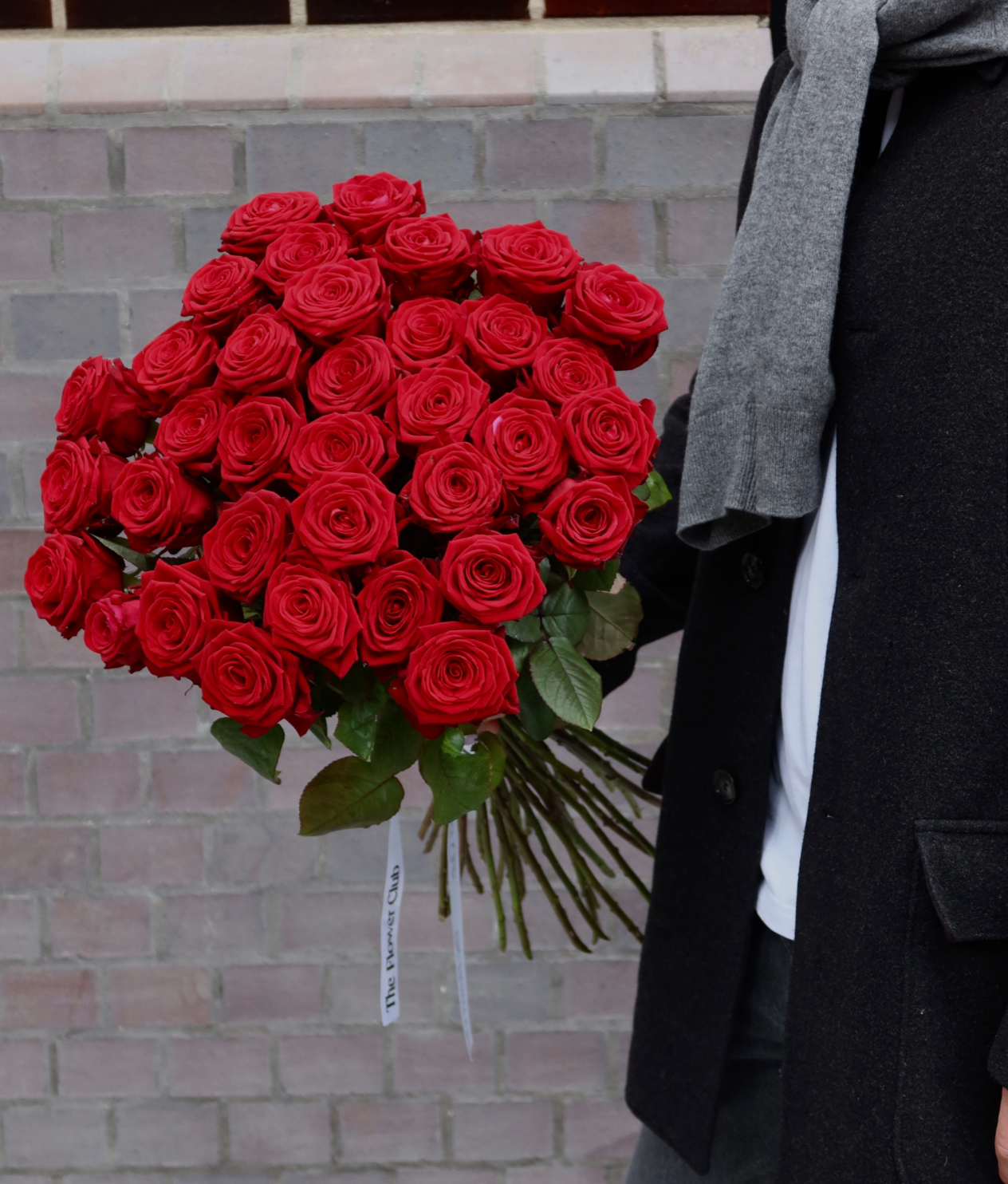 Premium Red Roses